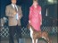 Best of Winners / Winners Dog -- Muskogee Kennel Club -- 05/26/2001