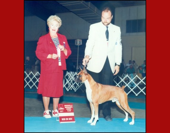 Best of Breed -- Greenville Mississippi Kennel Club -- June 30, 1990